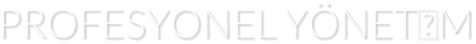 PROFESYONEL YNETM